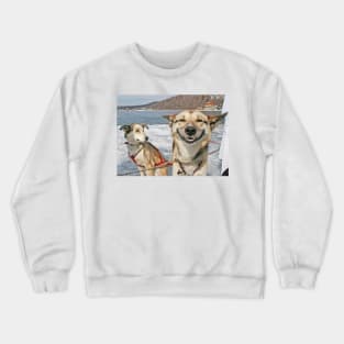 Stoner Dog Crewneck Sweatshirt